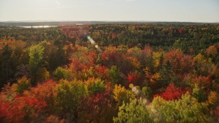 AX149_061 - 5.5K aerial stock footage flying over a forest with fall foliage and evergreens in autumn, Penobscot, Maine