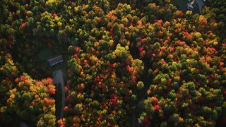 AX149_149 - 5.5K aerial stock footage of a bird's eye view over road and rural homes, colorful forest, autumn, Searsport, Maine, sunset