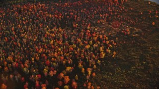 AX149_171 - 5.5K aerial stock footage of a bird's eye view of colorful forest in autumn, Belmont, Maine, sunset