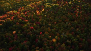 AX149_184 - 5.5K aerial stock footage of a bird's eye view flying over colorful forest in autumn, Searsmont, Maine, sunset