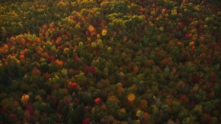 AX149_184E - 5.5K aerial stock footage of a bird's eye view flying over colorful forest in autumn, Searsmont, Maine, sunset
