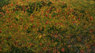 AX150_112 - 5.5K stock footage aerial video of a bird's eye view flying over dense, colorful forest in autumn, Norway, Maine