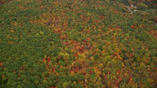 AX150_136 - 5.5K aerial stock footage of a bird's eye view flying over dense, brightly colored forest, autumn, Lovell, Maine
