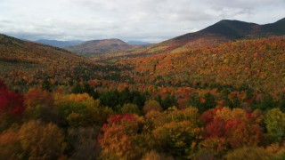 AX150_157 - 5.5K stock footage aerial video flying low over colorful forest in autumn, approaching White Mountains, New Hampshire