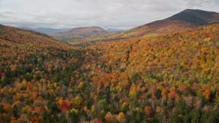 AX150_157E - 5.5K aerial stock footage flying low over colorful forest in autumn, approaching White Mountains, New Hampshire