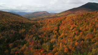 AX150_158 - 5.5K aerial stock footage flying over forest in autumn, approach White Mountains, New Hampshire