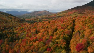 AX150_159 - 5.5K stock footage aerial video flying over bright forest in autumn, approaching White Mountains, New Hampshire