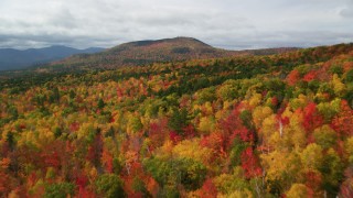 AX150_163 - 5.5K aerial stock footage flying over bright, dense forest, approach clouds, White Mountains, New Hampshire