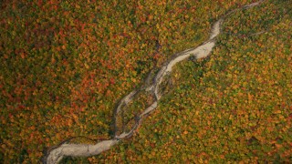 AX150_190 - 5.5K stock footage aerial video of a bird's eye view of colorful autumn forest, river, White Mountains, New Hampshire