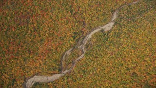 AX150_190E - 5.5K aerial stock footage of a bird's eye view of colorful autumn forest, river, White Mountains, New Hampshire