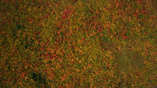 AX150_191 - 5.5K aerial stock footage of a bird's eye view over colorful forest, autumn, White Mountains, New Hampshire