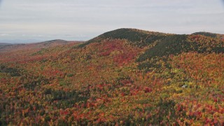 AX150_233 - 5.5K aerial stock footage flying by colorful forest, Cleveland Mountain, autumn, Bethlehem, New Hampshire