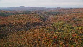 AX150_234E - 5.5K aerial stock footage flying over dense, colorful forest, autumn, Bethlehem, New Hampshire