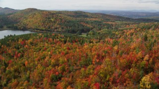 AX150_261 - 5.5K aerial stock footage flying over a colorful forest, Pearl Lake, autumn, pan right, Lisbon, New Hampshire
