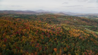 AX150_311 - 5.5K aerial stock footage flying over a colorful forest under overcast skies, autumn, Wells River, Vermont