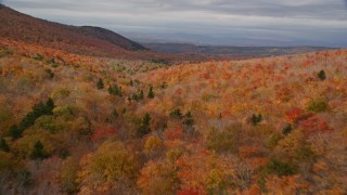 AX150_325E - 5.5K aerial stock footage flying over colorful forest through mountains, autumn, overcast, Orange, Vermont