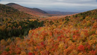 AX150_326 - 5.5K aerial stock footage flying over dense forest of colorful trees, mountains, autumn, Orange, Vermont