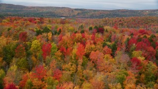 AX150_333 - 5.5K aerial stock footage flying over brightly colored, dense forest, autumn, overcast, Orange, Vermont