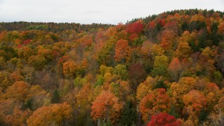AX150_338 - 5.5K aerial stock footage flying over forest, reveal small barns, overcast sky, autumn, Barre, Vermont