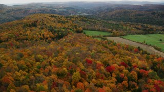 AX150_413 - 5.5K aerial stock footage flying over colorful forest, farmland, autumn, overcast, Randolph Center, Vermont