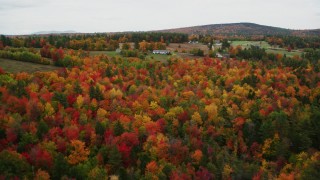 AX151_092 - 5.5K aerial stock footage flying over brightly colored forest, pan by rural homes, autumn, Newbury, New Hampshire