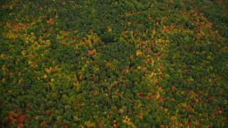 AX151_118 - 5.5K aerial stock footage of a bird's eye view flying over forest of colorful autumn trees, Wilmot, New Hampshire