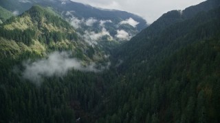 AX154_041E - 5.5K aerial stock footage approaching the Eagle Creek Trail canyon in Cascade Range, Hood River County, Oregon