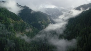 AX154_046 - 5.5K aerial stock footage following Eagle Creek Trail over misty clouds in the Cascade Range, Hood River County, Oregon