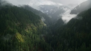 AX154_046E - 5.5K aerial stock footage following Eagle Creek Trail over misty clouds in the Cascade Range, Hood River County, Oregon