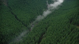 AX154_053 - 5.5K stock footage aerial video of bird's eye view of mist over a creek, and evergreen forest in the Cascade Range, Hood River County, Oregon