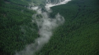 AX154_054 - 5.5K stock footage aerial video of a bird's eye view of mist over Eagle Creek Trail in canyon with evergreens in the Cascade Range, Hood River County, Oregon