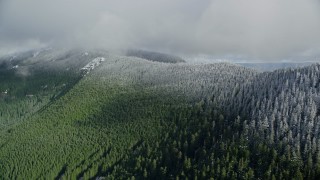 AX154_059 - 5.5K aerial stock footage of the snow line on evergreen trees atop a mountain ridge, Cascade Range, Hood River County, Oregon