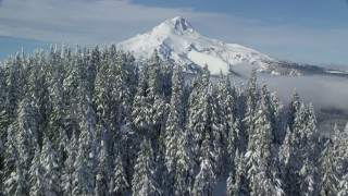 AX154_115 - 5.5K aerial stock footage tilting from forest to reveal clouds and Mount Hood, Cascade Range, Oregon