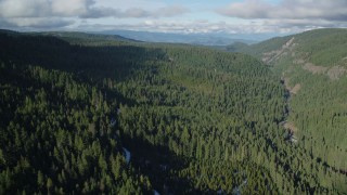 AX154_127 - 5.5K aerial stock footage flying over canyon and evergreen forest near Highway 35, Cascade Range, Hood River Valley, Oregon