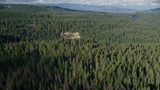 AX154_127E - 5.5K aerial stock footage flying over canyon and evergreen forest near Highway 35, Cascade Range, Hood River Valley, Oregon