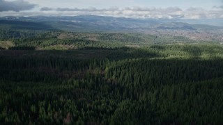 AX154_133E - 5.5K aerial stock footage flying over forest trail through evergreens in the Cascade Range, Hood River Valley, Oregon