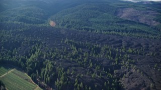 AX154_139E - 5.5K aerial stock footage flying lava flow and evergreen forest in Parkdale, Oregon