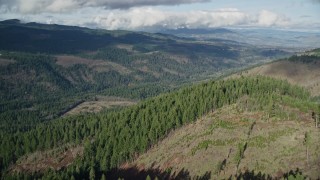 AX154_146E - 5.5K aerial stock footage approaching and flying over evergreen forest and logging areas, Dee, Oregon