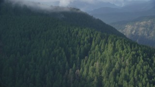 AX154_153 - 5.5K aerial stock footage flying by dense evergreen forest and mountains, Columbia River Gorge, Hood River County, Oregon