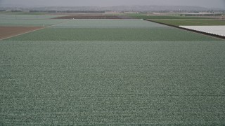 AX42_025E - 5K aerial stock footage of approach and fly over a field of crops, Camarillo, California