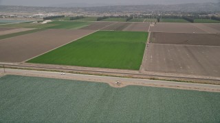 AX42_027 - 5K aerial stock footage flyby a green crop field beside a country road, Camarillo, California