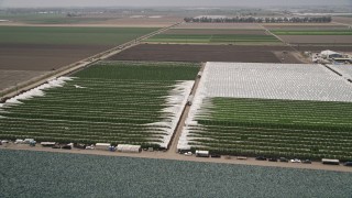 AX42_028E - 5K aerial stock footage fly over crop fields and greenhouses, Camarillo, California