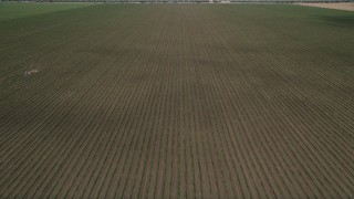 AX42_030E - Aerial stock footage of Pan and fly over a dirt road and a field of new crops, Camarillo, California