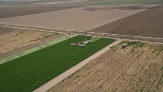 AX42_044 - 5K aerial stock footage of flying away from farm workers working a crop field, and reveal second group, Camarillo, California