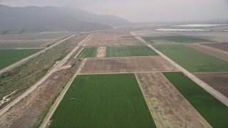 AX42_048 - 5K aerial stock footage fly over farmland between country roads with light fog in the distance, Camarillo, California
