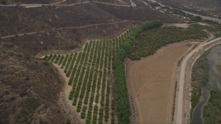 AX42_052E - 5K aerial stock footage approach orchards at the base of mountains near a country road, Point Mugu, California