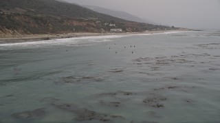 AX42_081 - Aerial stock footage of 5K aerial  video fly low over the ocean to pass surfers waiting for waves near the shore, Malibu, California