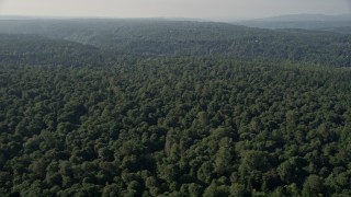 AX48_025E - 5K aerial stock footage flyby a lush deciduous forest in Sammamish, Washington