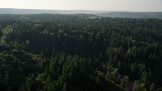 AX48_031 - 5K aerial stock footage fly by an evergreen forest near Carnation, Washington