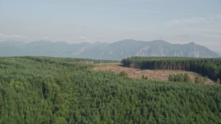 AX48_045 - 5K aerial stock footage of flying by a clear cut area in forest in King County, Washington, near the Cascade Range